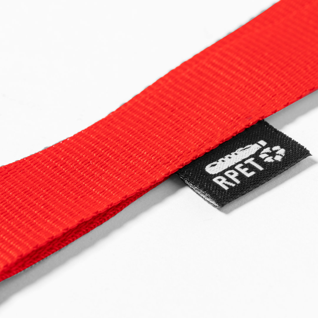 Lanyard 2