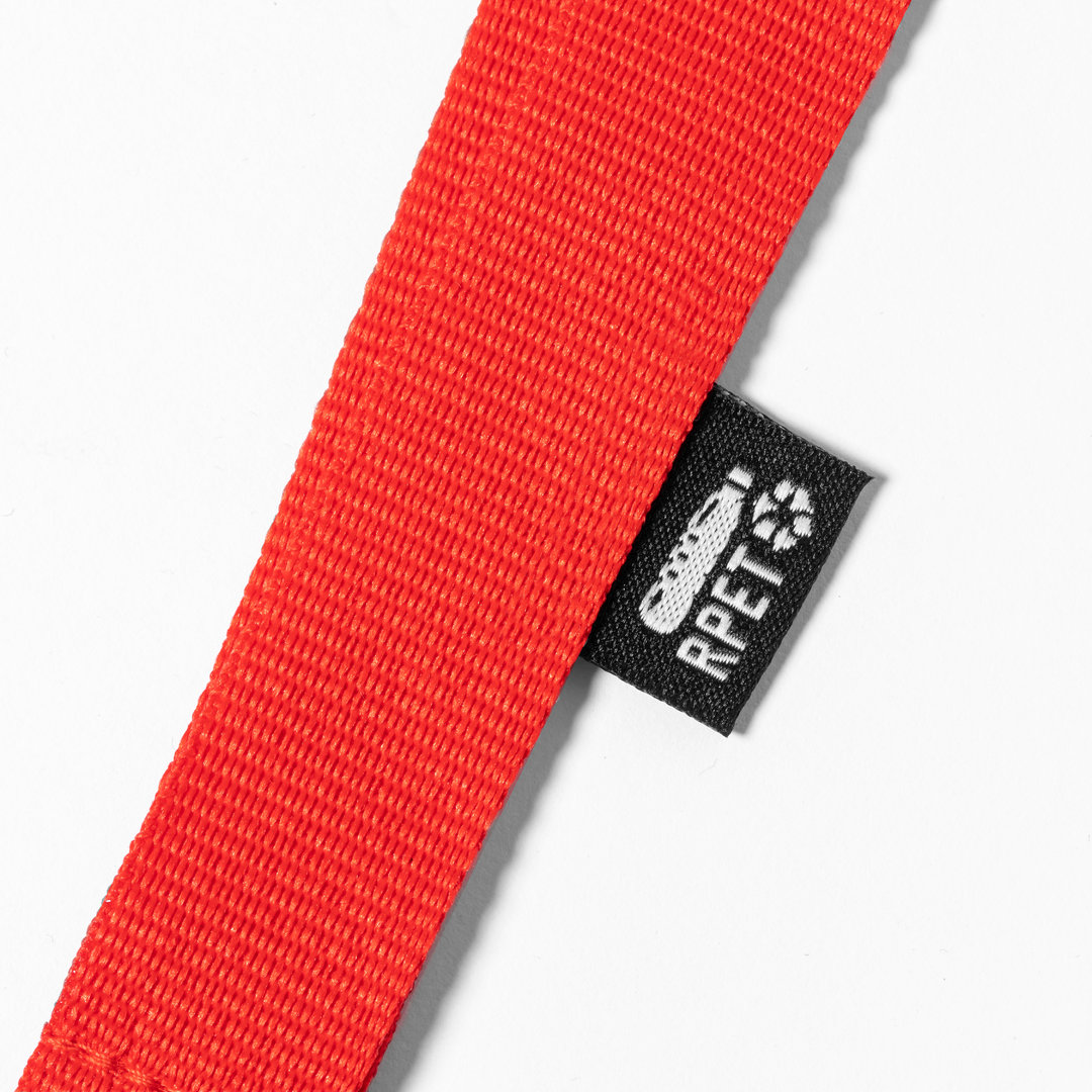 Lanyard 6