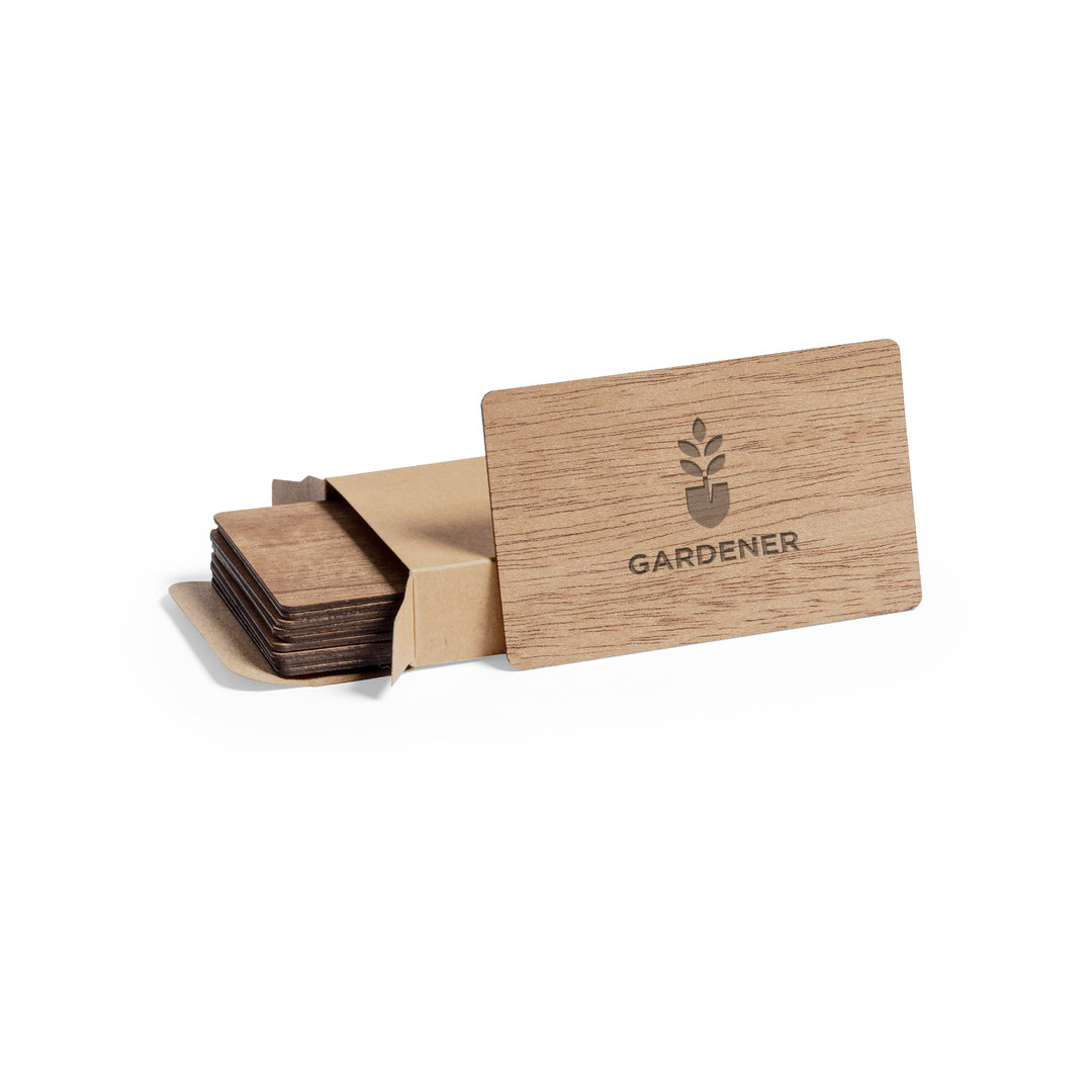 Set Tarjetas 4