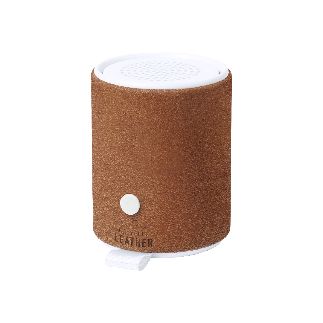 Altavoz Sotep RCS - Imagen 4