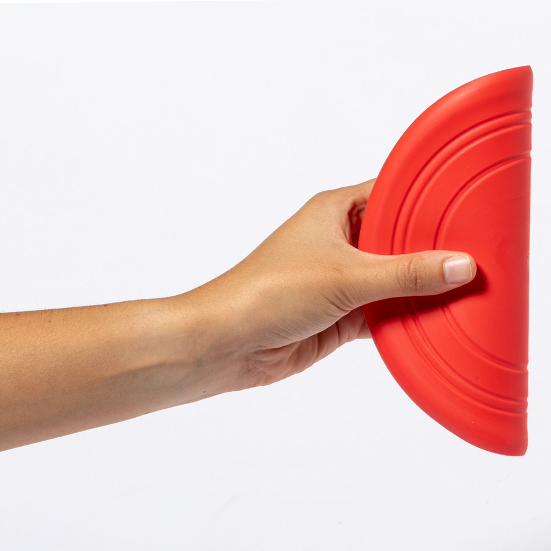 Frisbee 3
