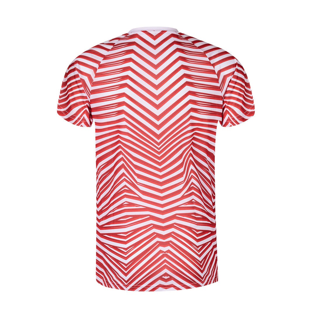 Camiseta Adulto 2