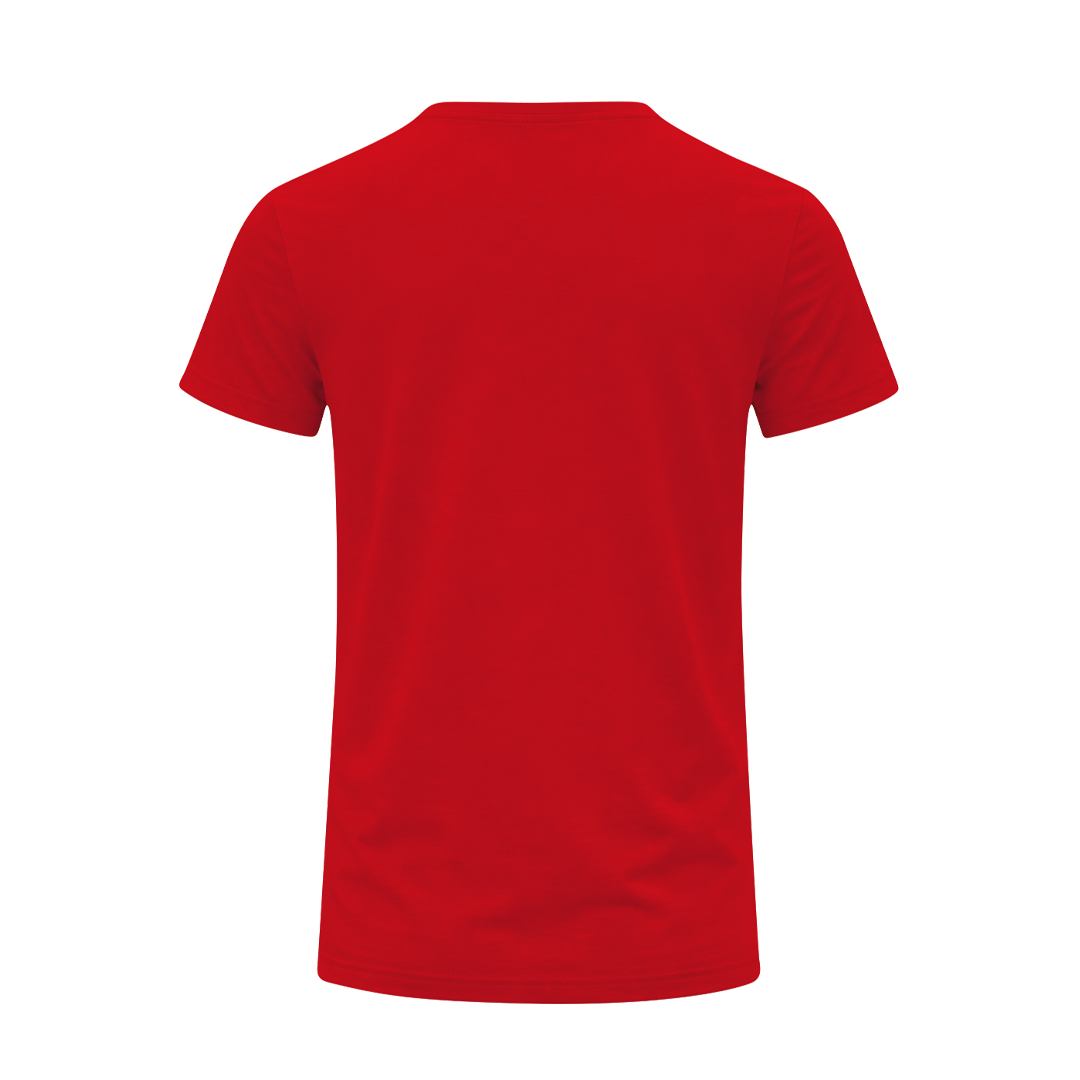 Camiseta Adulto Color 3