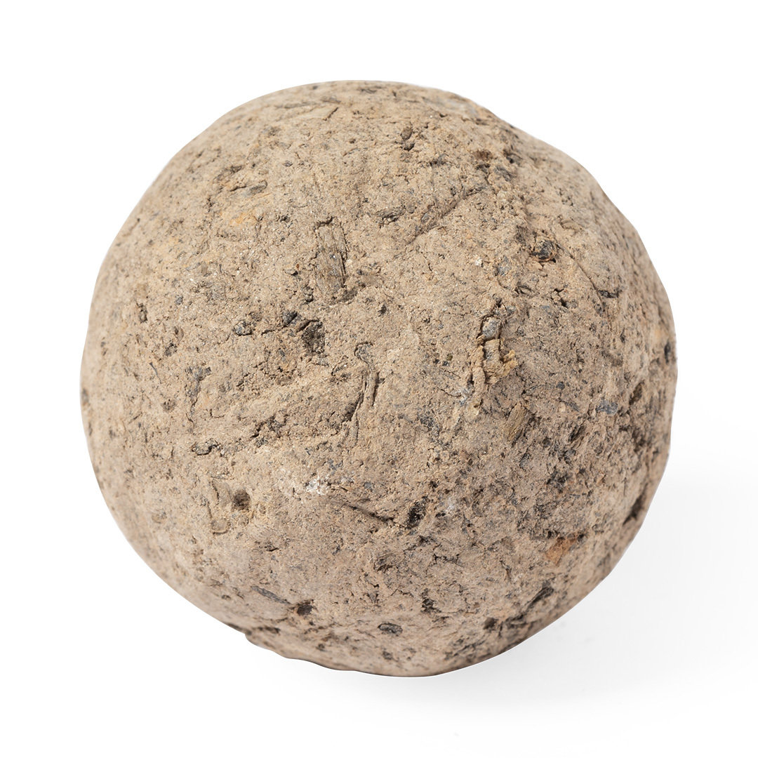 Bombón Semillas 3
