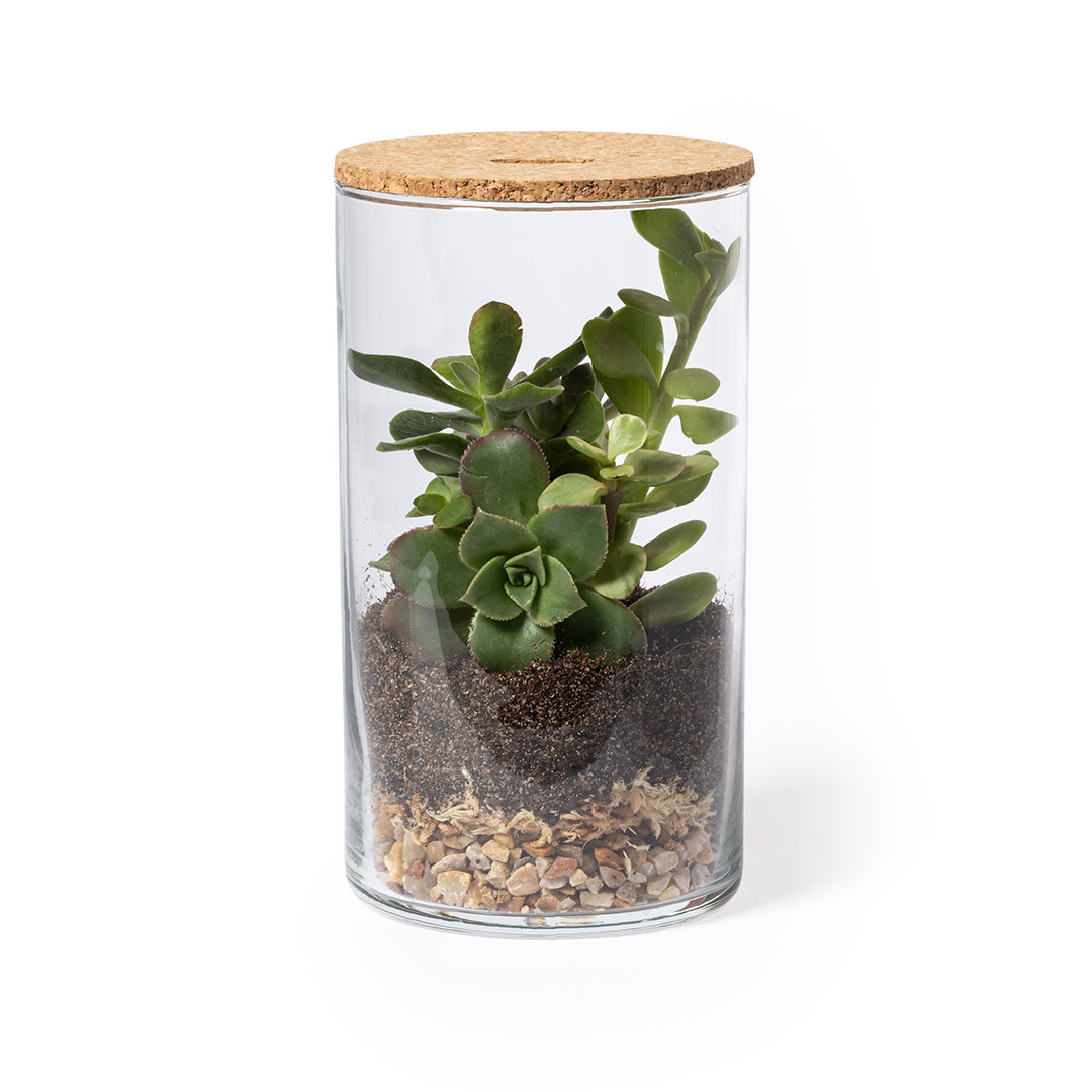 Terrarium 2