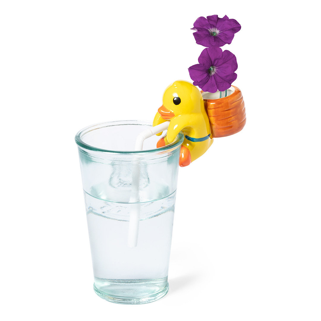 Maceta 5