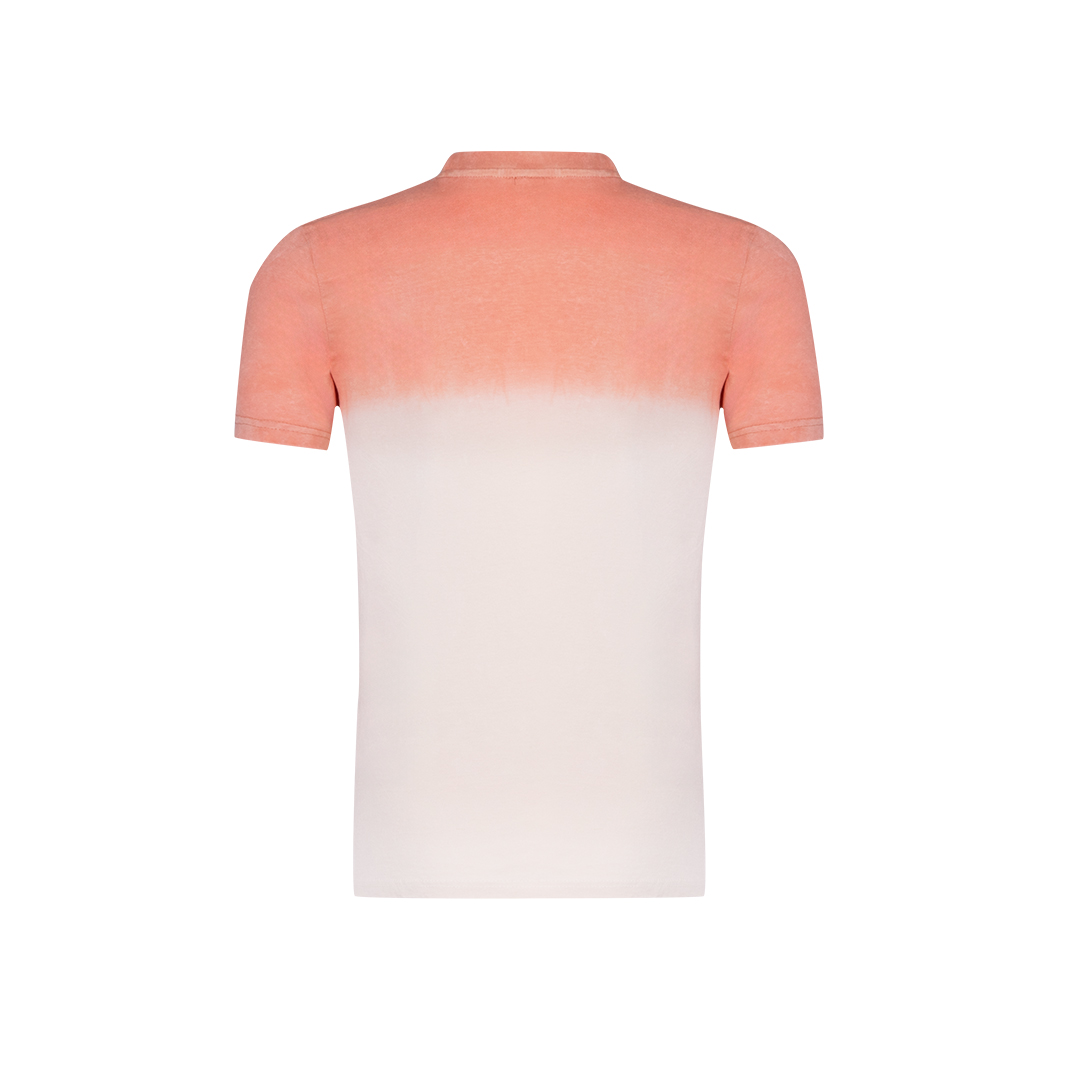 Camiseta Adulto 3
